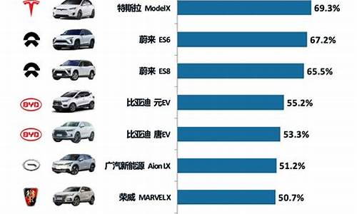 新能源汽车排名前十名标志_新能源汽车排名